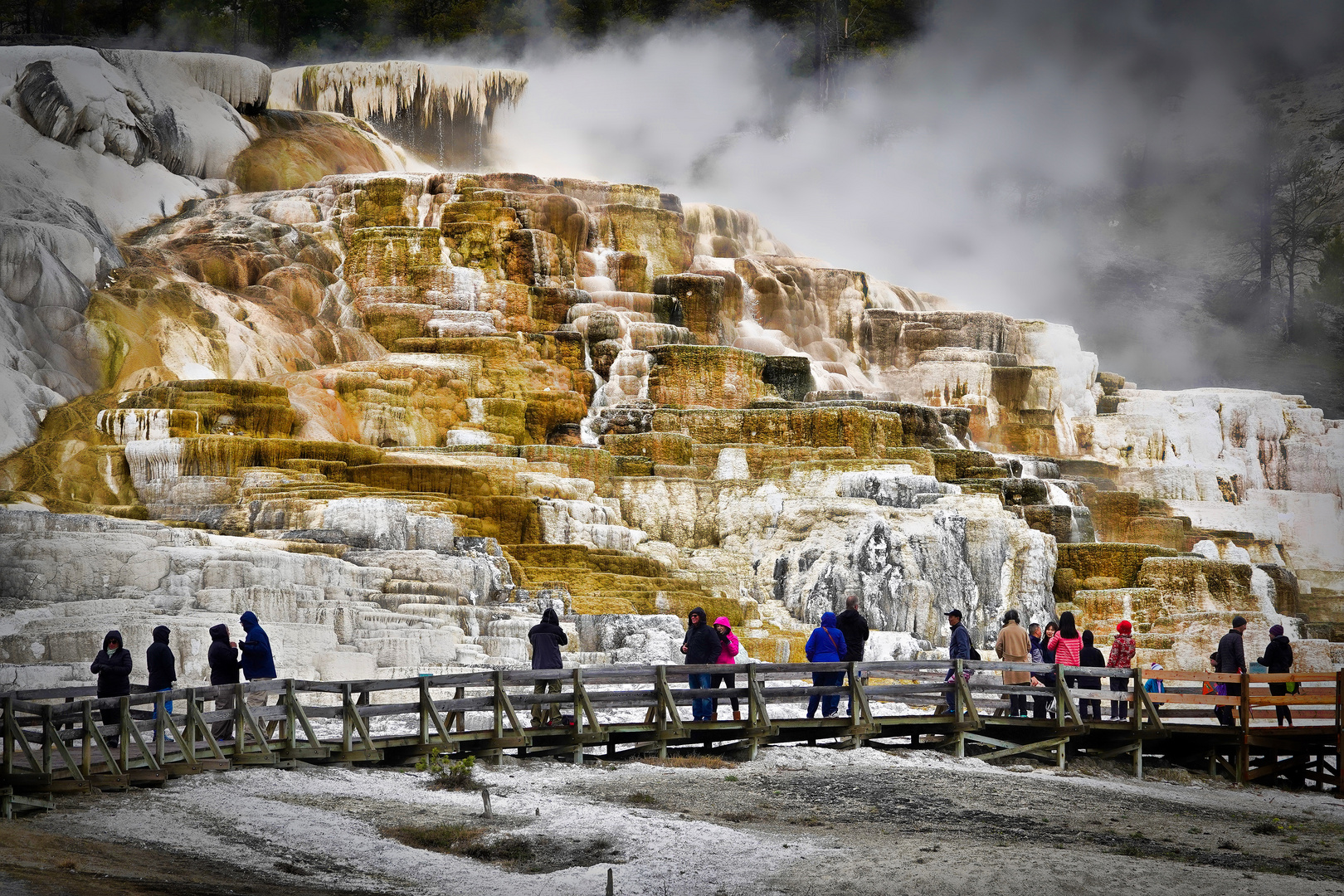 Mammoth Hot Springs Im Yellowstone National Park Foto And Bild Usa