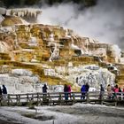 Mammoth Hot Springs im Yellowstone National Park