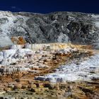 Mammoth Hot Springs - Lower Terraces -Yellowstone NP