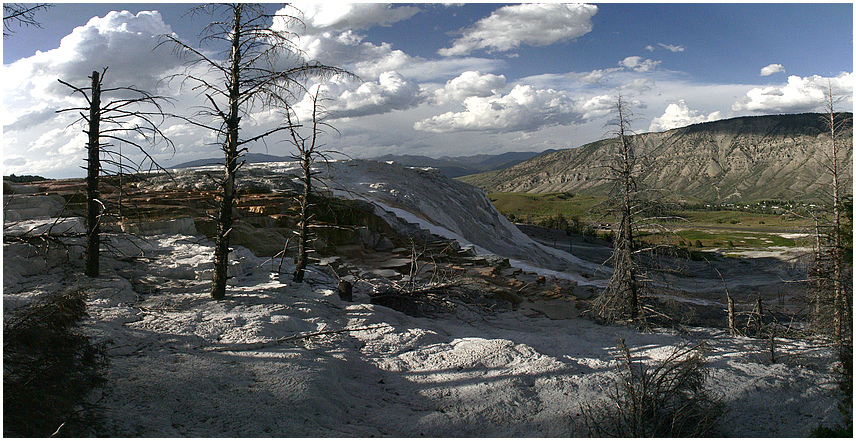 Mammoth Hot Springs Pano