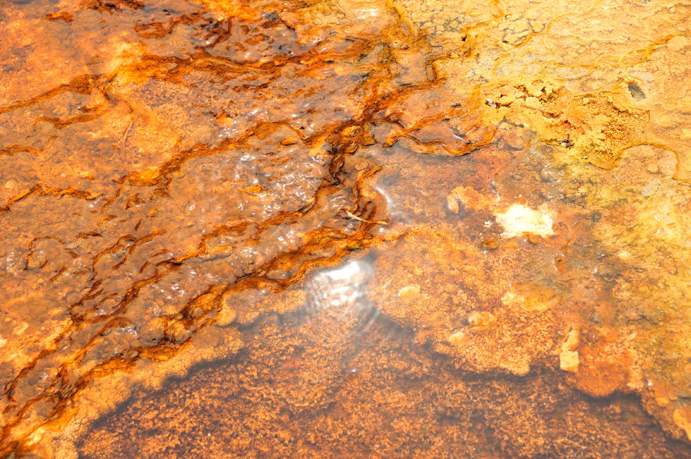 Mammoth Hot Springs reflets de soleil dans l'eau et feu.