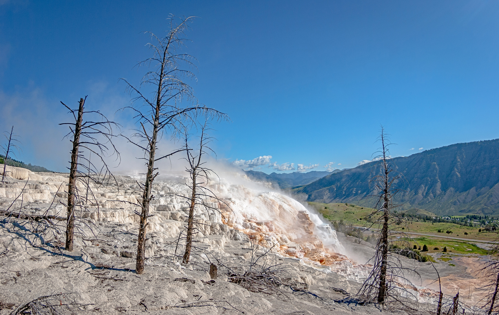 Mammoth Hot Springs Terraces (2)