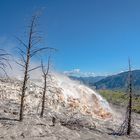 Mammoth Hot Springs Terraces (2)