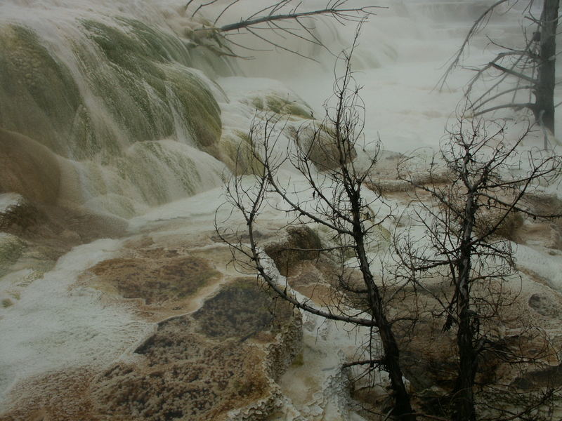 Mammoth Hot Springs Terraces