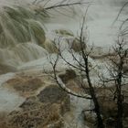 Mammoth Hot Springs Terraces