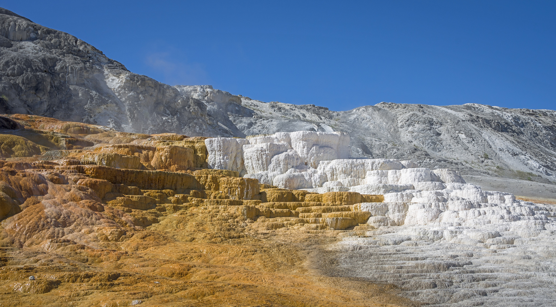 Mammoth Hot Springs Terraces (3)