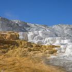 Mammoth Hot Springs Terraces (3)