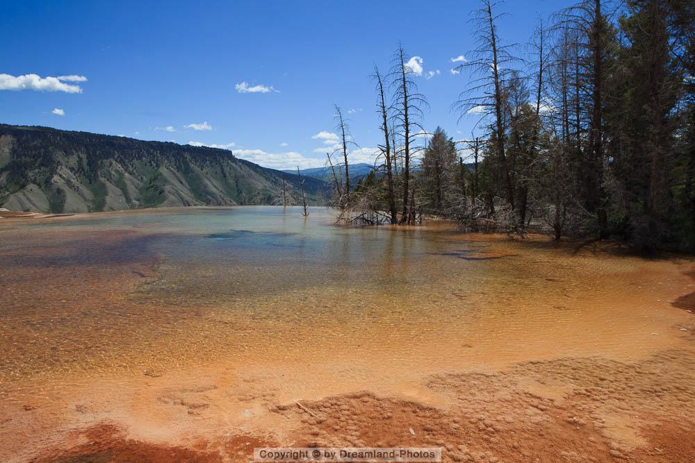 Mammoth Hot Springs, Yellowstone National Park, Wyoming, USA