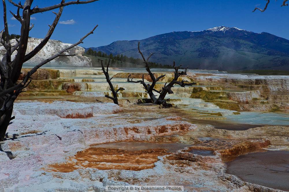 Mammoth Hot Springs, Yellowstone National Park, Wyoming, USA