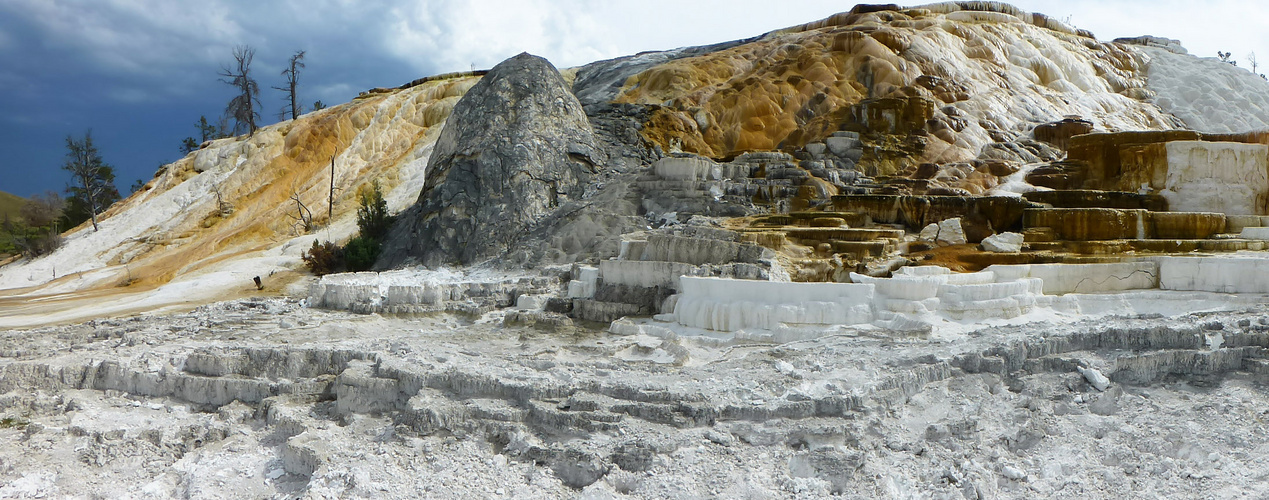 Mammoth Hot Springs Yellowstone Nationalpark