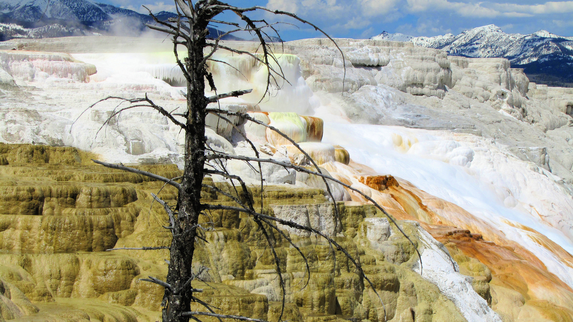 Mammoth Hot Springs - Yellowstone Nationalpark