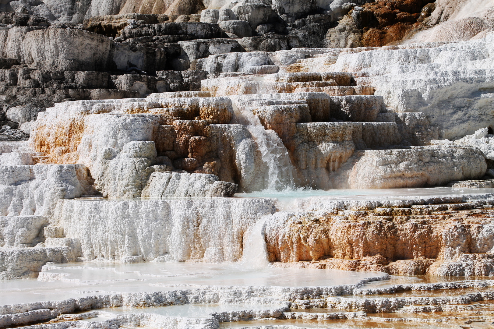 Mammoth Hot Springs - Yellowstone Nationalpark