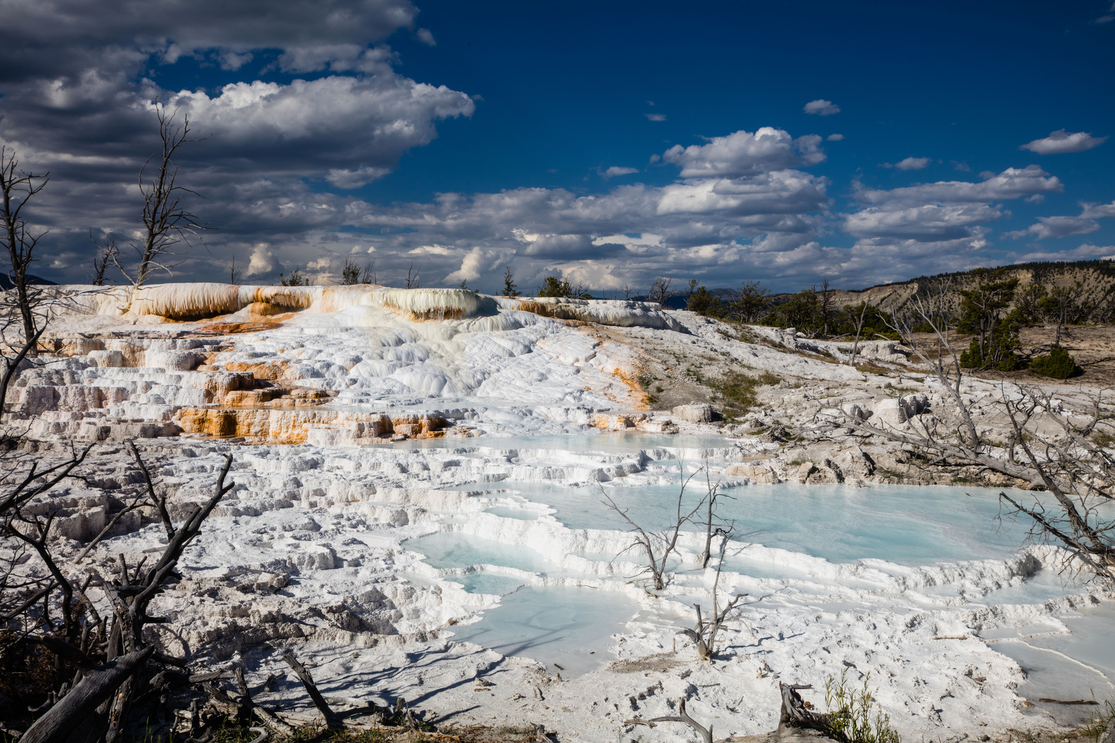 Mammoth hot springs Yellowstone Nationalpark Foto & Bild north