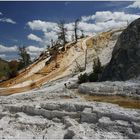 Mammoth Hot Springs, Yellowstone NP