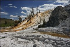 Mammoth Hot Springs, Yellowstone NP