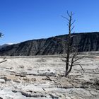 Mammoth Hot Springs, Yellowstone Park