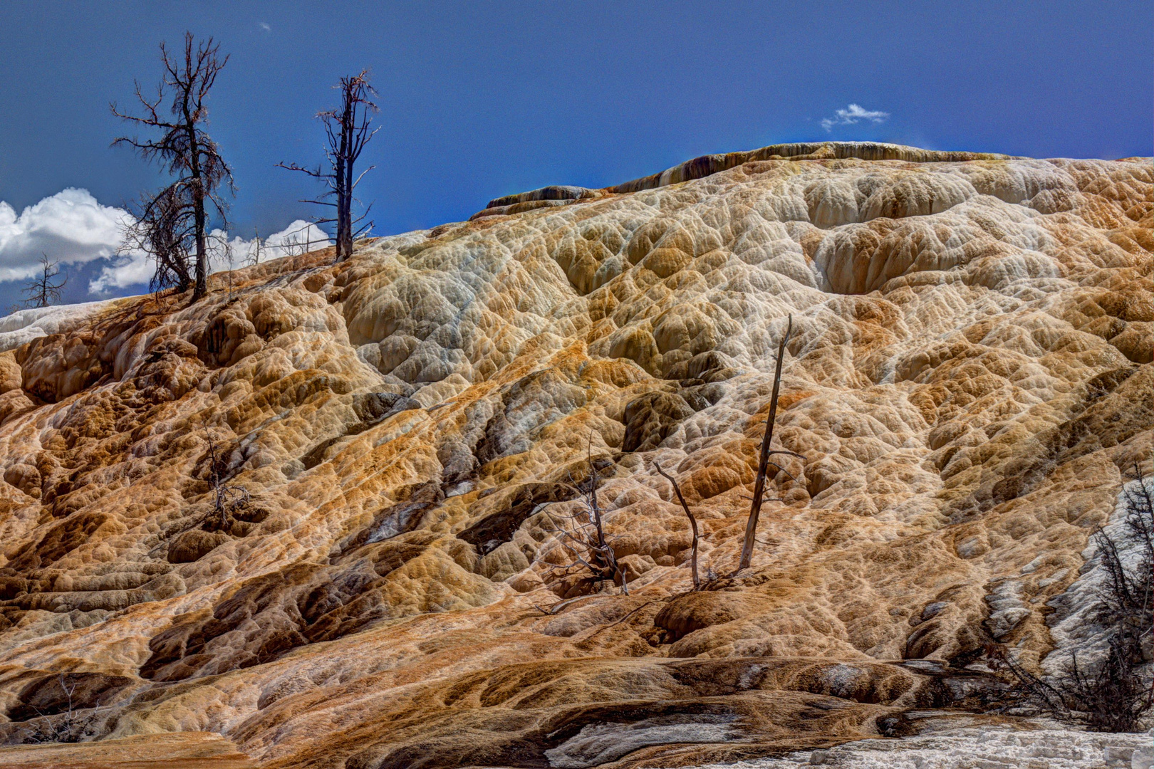 Mammoth  Hot Springs,Yellowstone