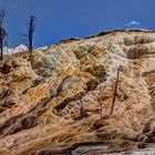 Mammoth  Hot Springs,Yellowstone