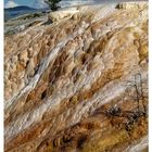 Mammoth Hotsprings