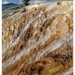 Mammoth Hotsprings