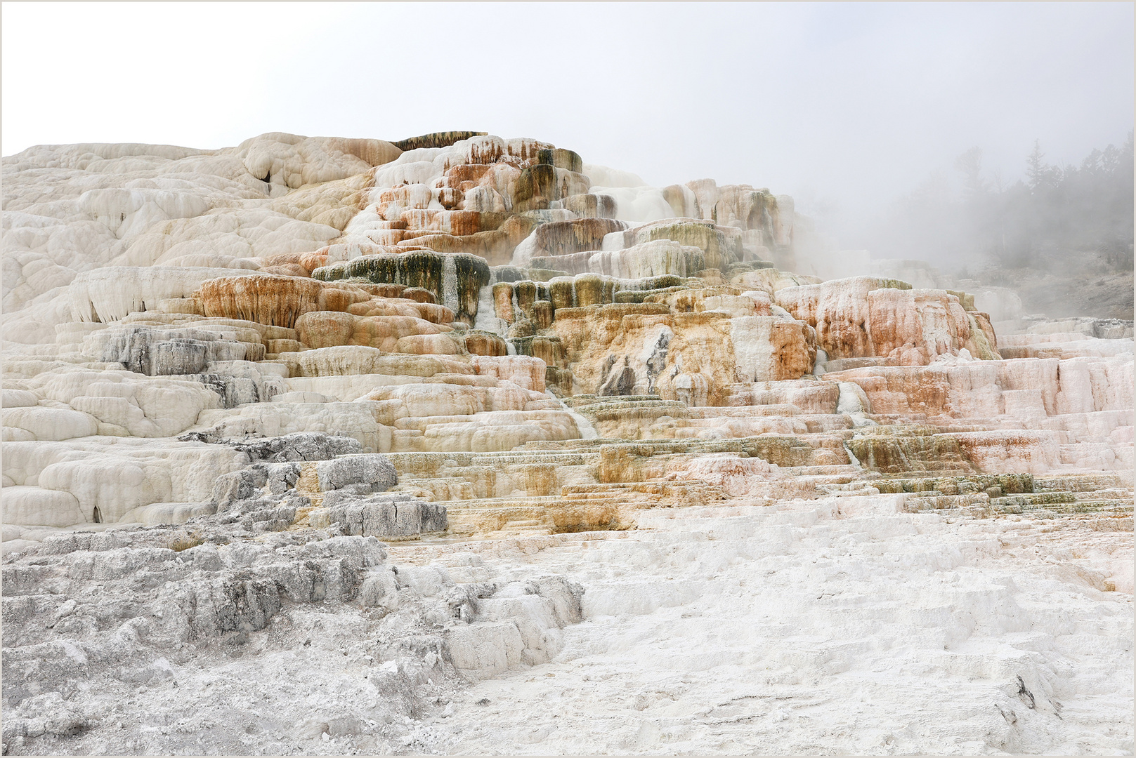 Mammoth Hotsprings I