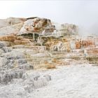 Mammoth Hotsprings I