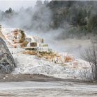 Mammoth Hotsprings II