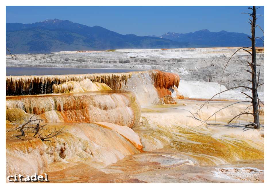 Mammoth Springs