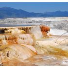 Mammoth Springs