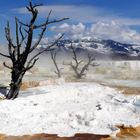 Mammouth Hot Springs