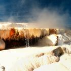 Mammouth Hot Springs  im Yellowstone NP