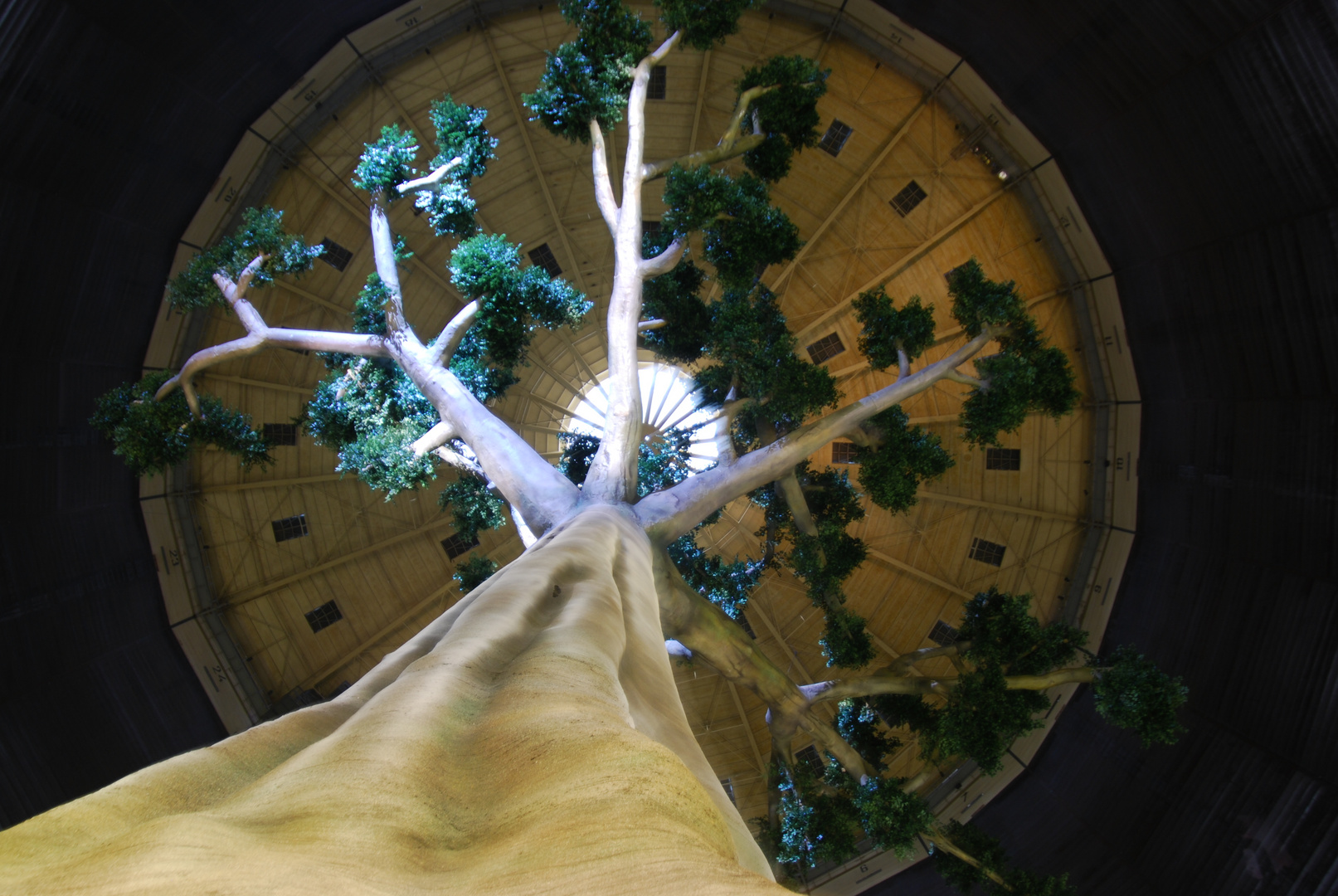 Mammut-Baum im Gasometer Oberhausen