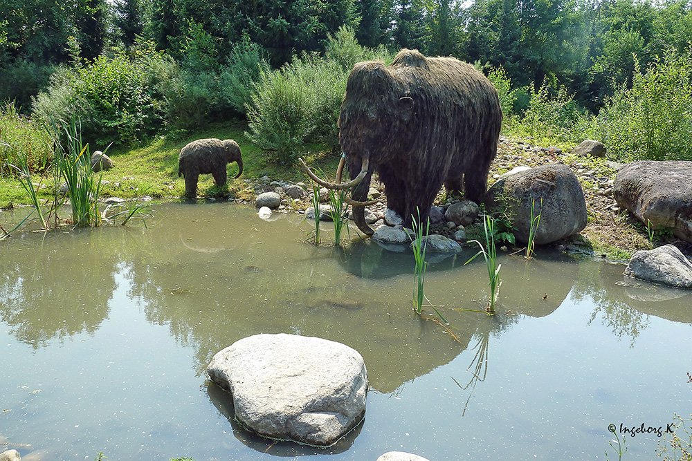 Mammut - Gaia-Zoo Kerkrade