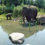 Mammut - Gaia-Zoo Kerkrade