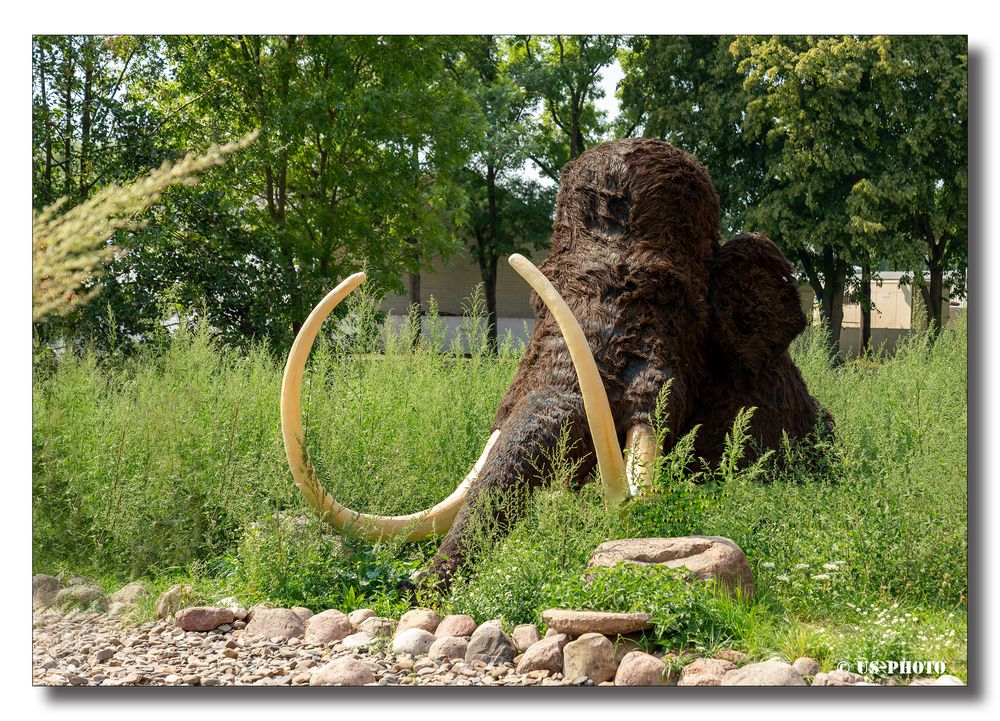 Mammut Nachbildung - Schloss Salder