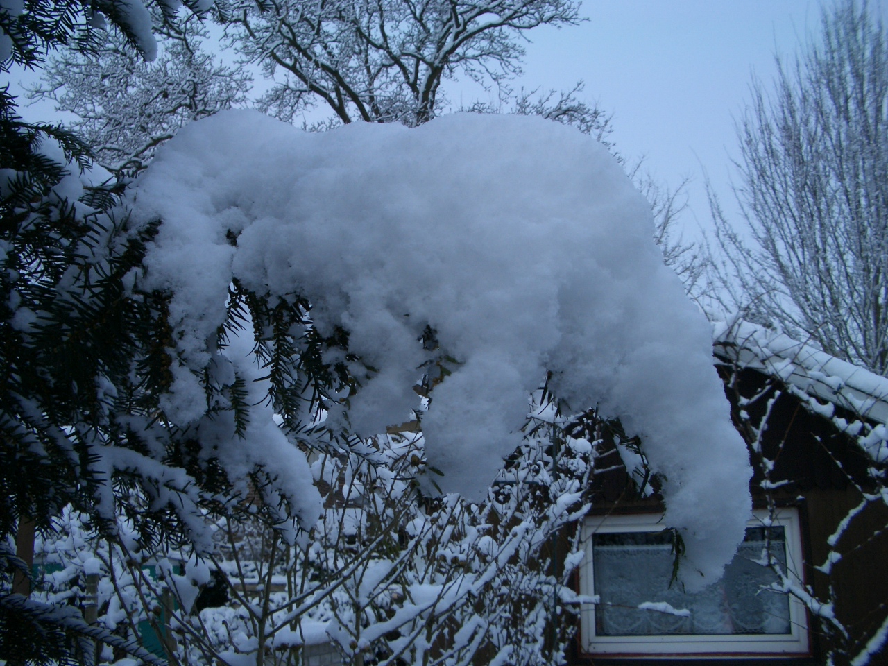 Mammut oder doch ein Ameisenbär aus Schnee??