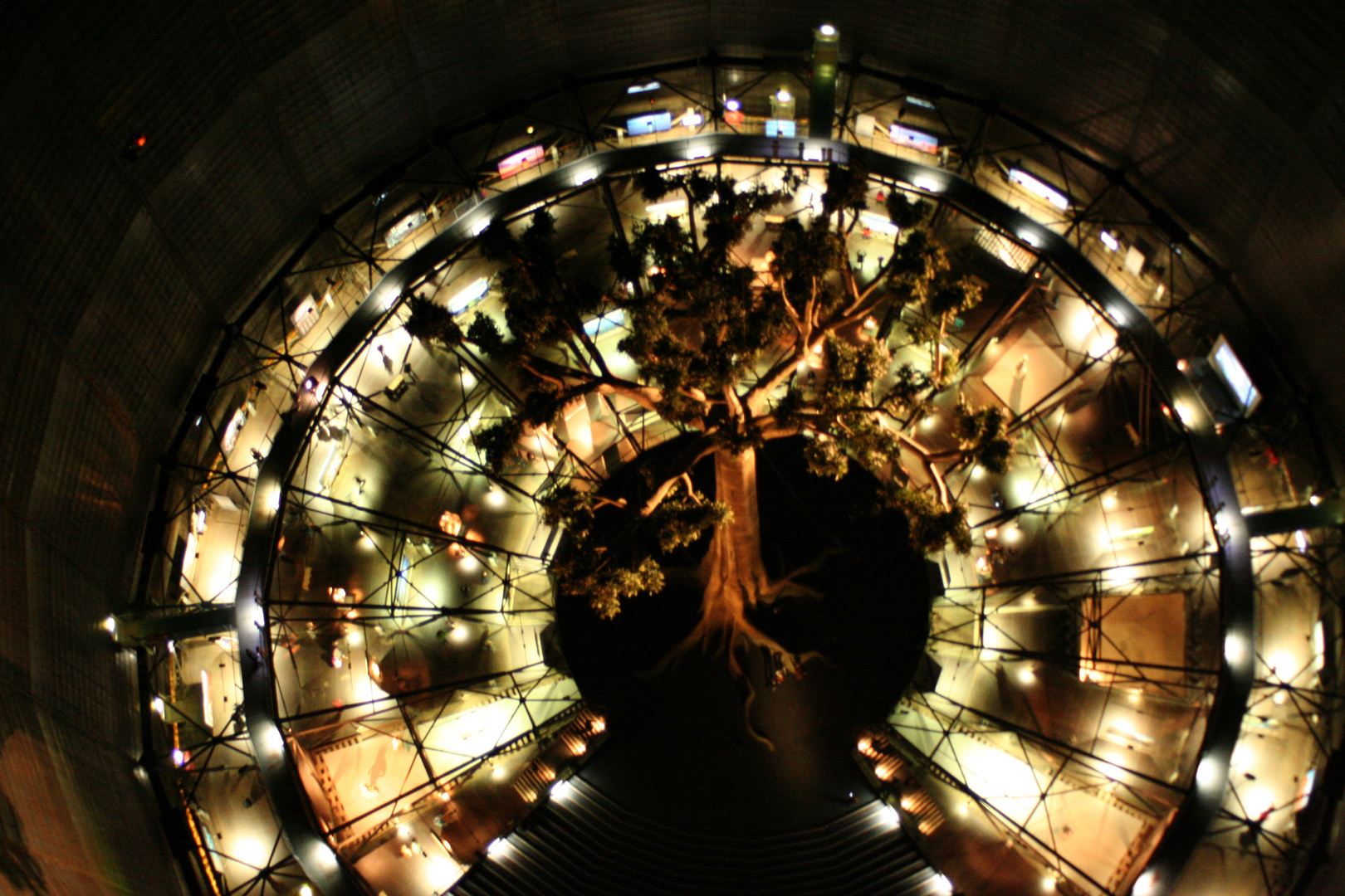 Mammutbaum im Gasometer Oberhausen von oben