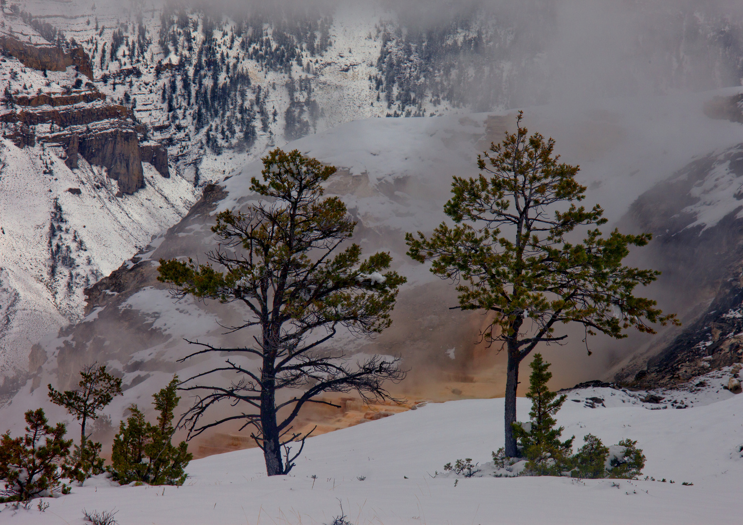 Mammuth Hot Springs