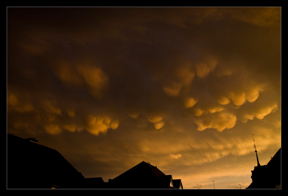 Mammutus im Sonnenuntergang