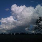 Mammutwolken über dem Hohen Venn