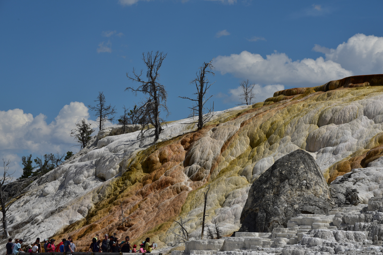 Mamoth Hot Springs, Lower Terraces               DSC_4724