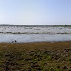 Mamukala Wetlands