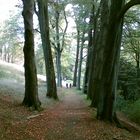 man achte auf die Proportion Mensch Wald