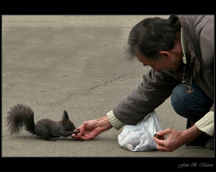 Man and animal