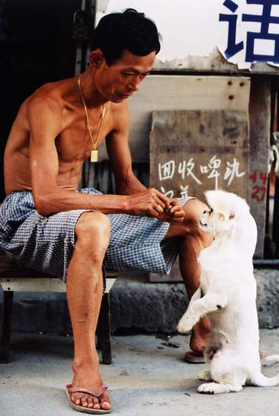 Man and Dog