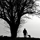 Man and Dog