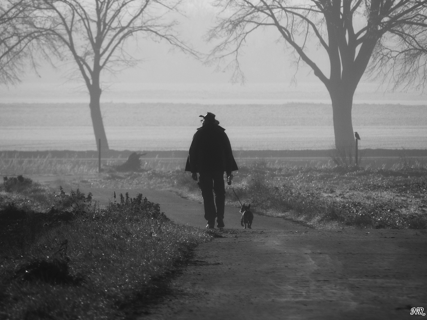 Man and Dog