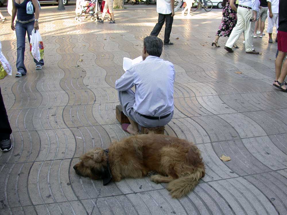 Man and Dog