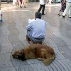 Man and Dog