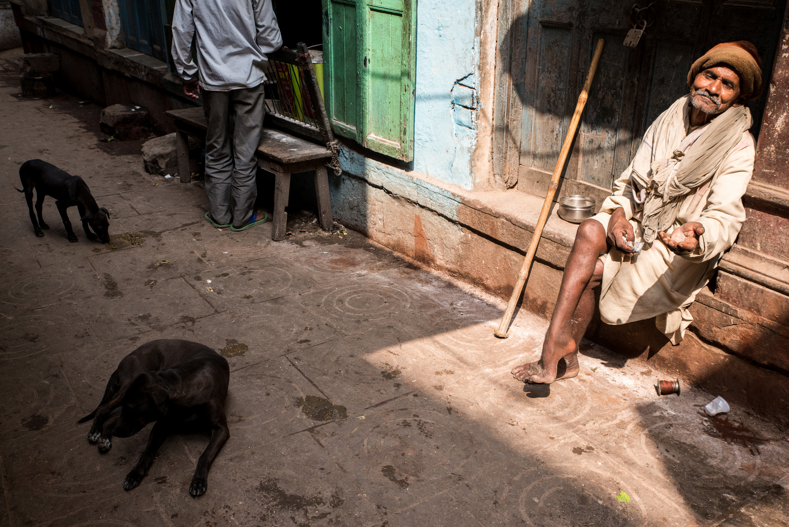 Man and Dogs